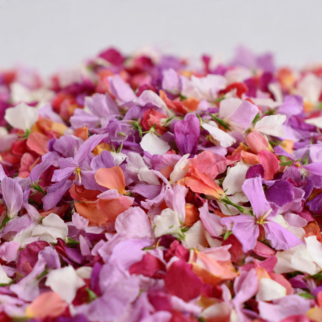 Fresh Flower Petal Confetti
